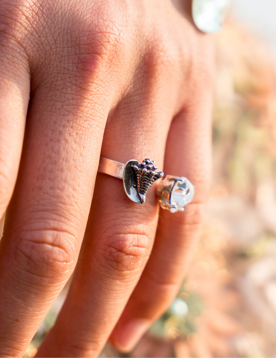 Anillo Coralito de los Sueños
