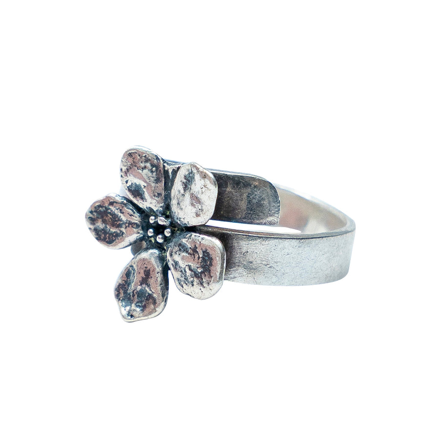 Anillo Mar de Cerezo