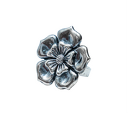 Anillo Jardín Salado