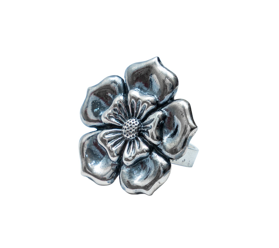 Anillo Jardín Salado