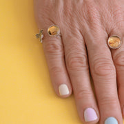 Anillo Pequeño Vuelo