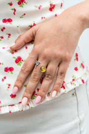 Anillo Pequeño Vuelo