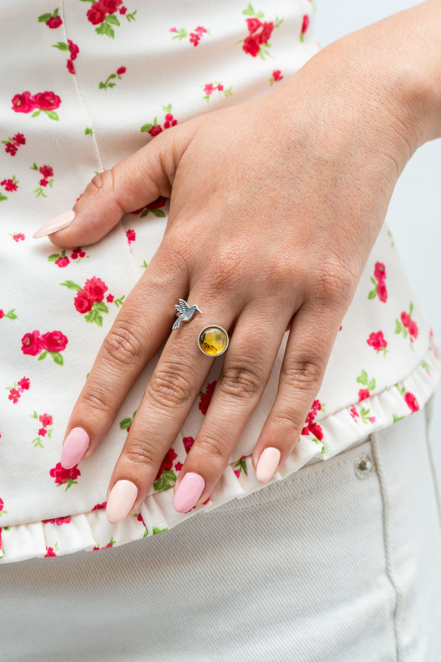 Anillo Pequeño Vuelo