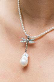 Collar Siempre Libre