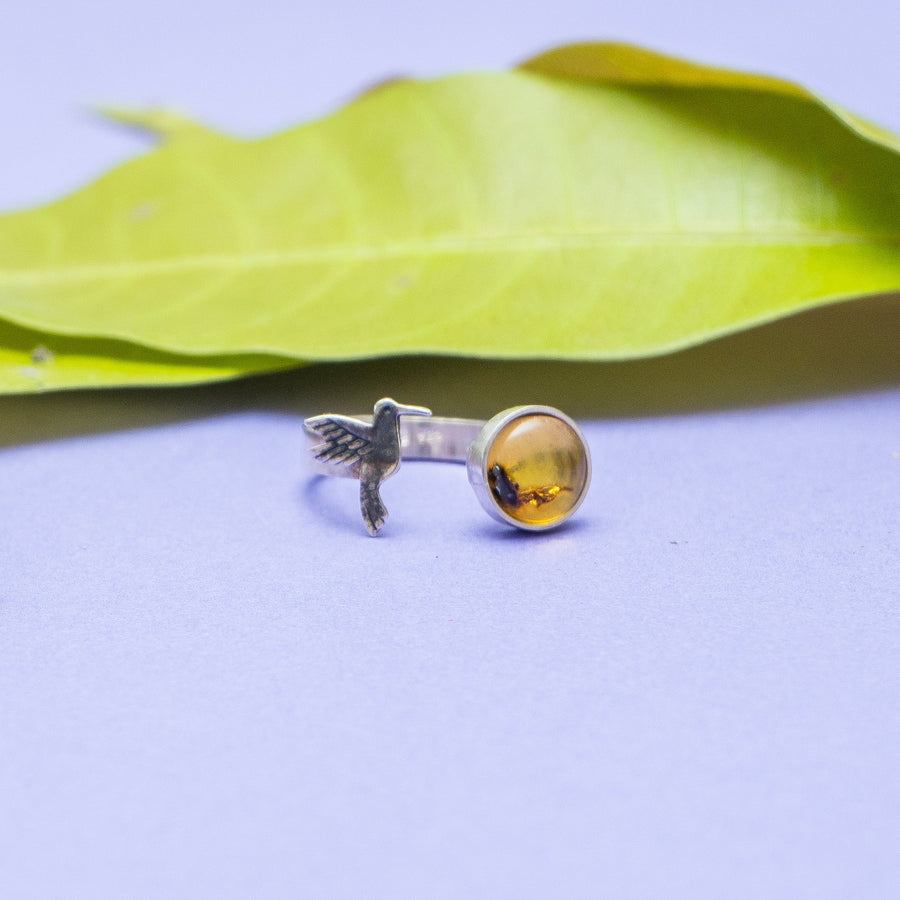 Anillo Pequeño Vuelo