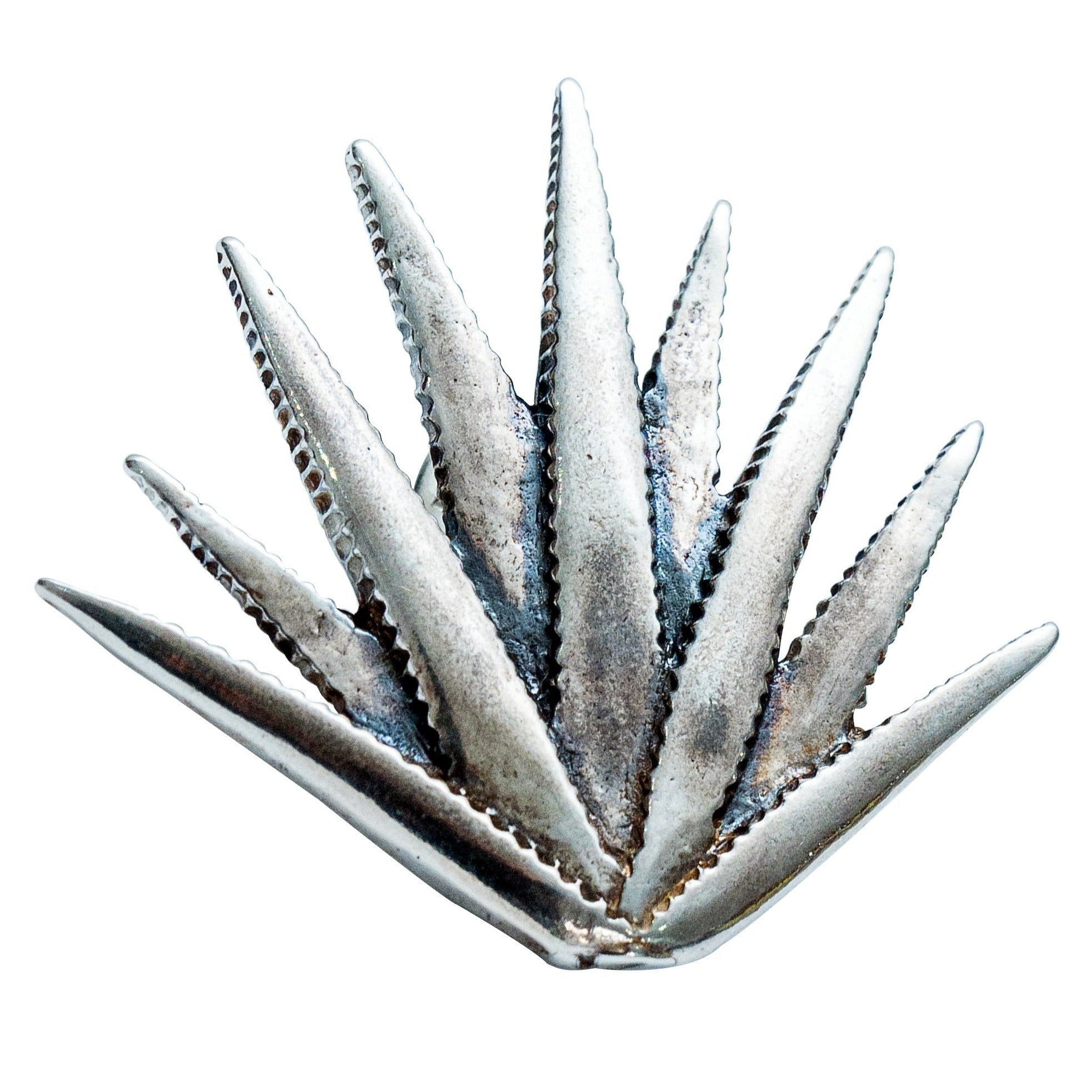 Pin de Agave Realista