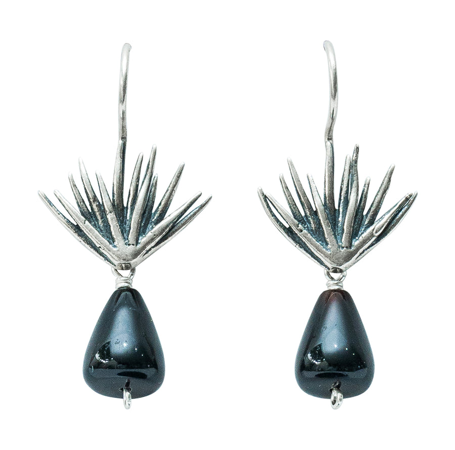 Aretes Provinciana