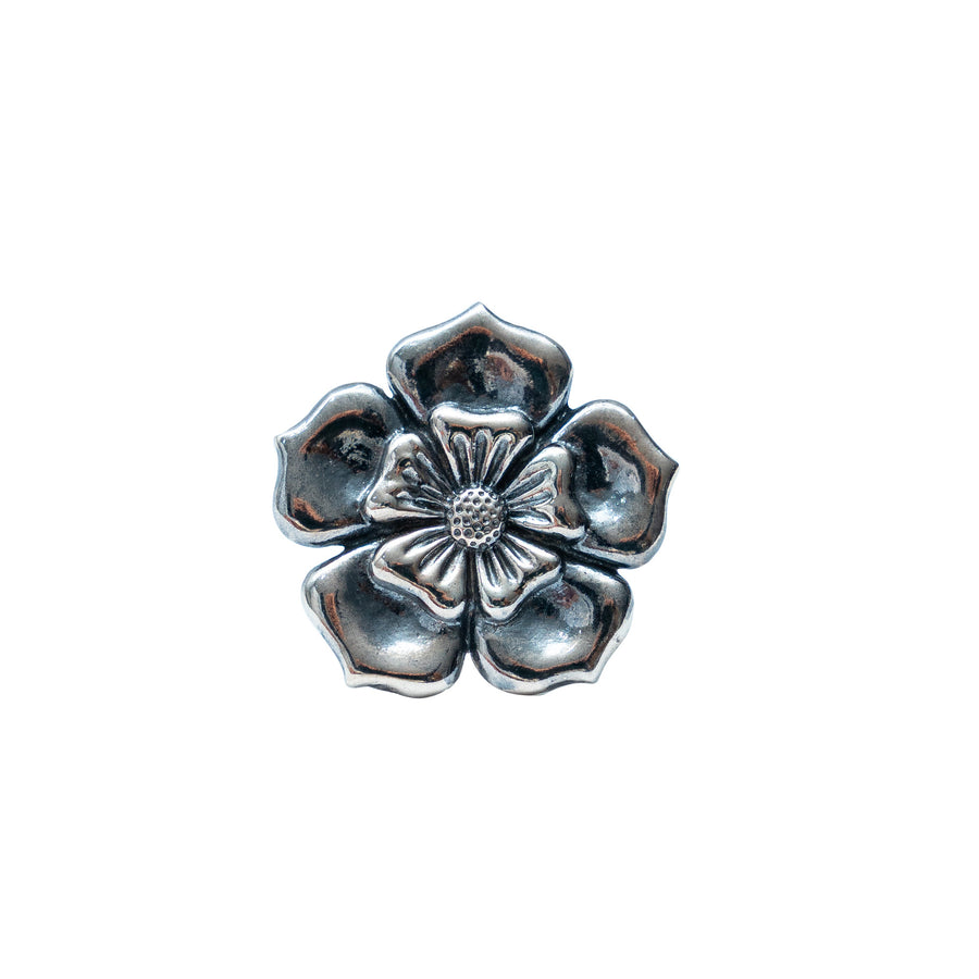 Anillo Jardín Salado