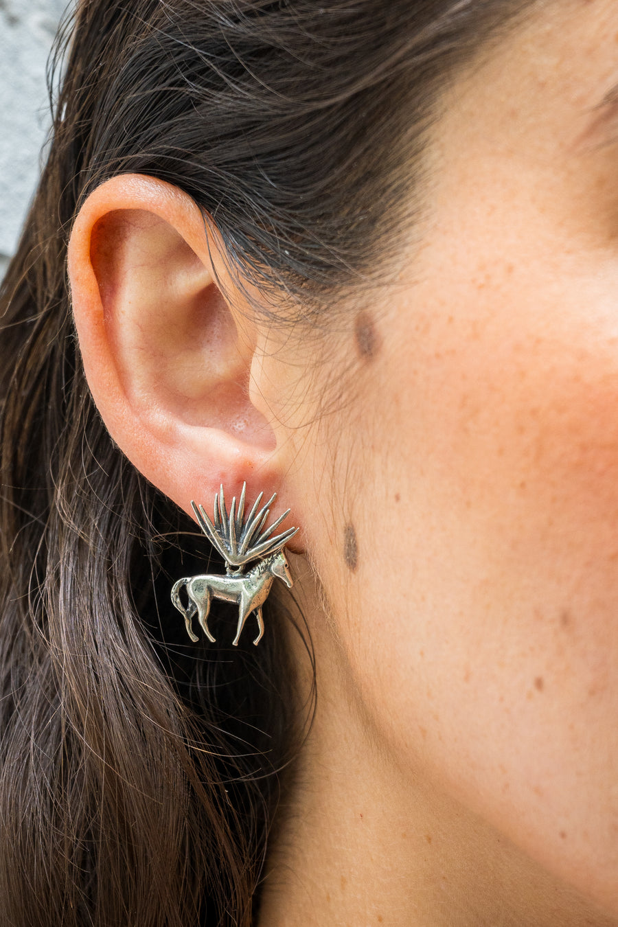 Aretes Potrillo