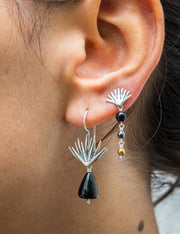 Aretes Provinciana