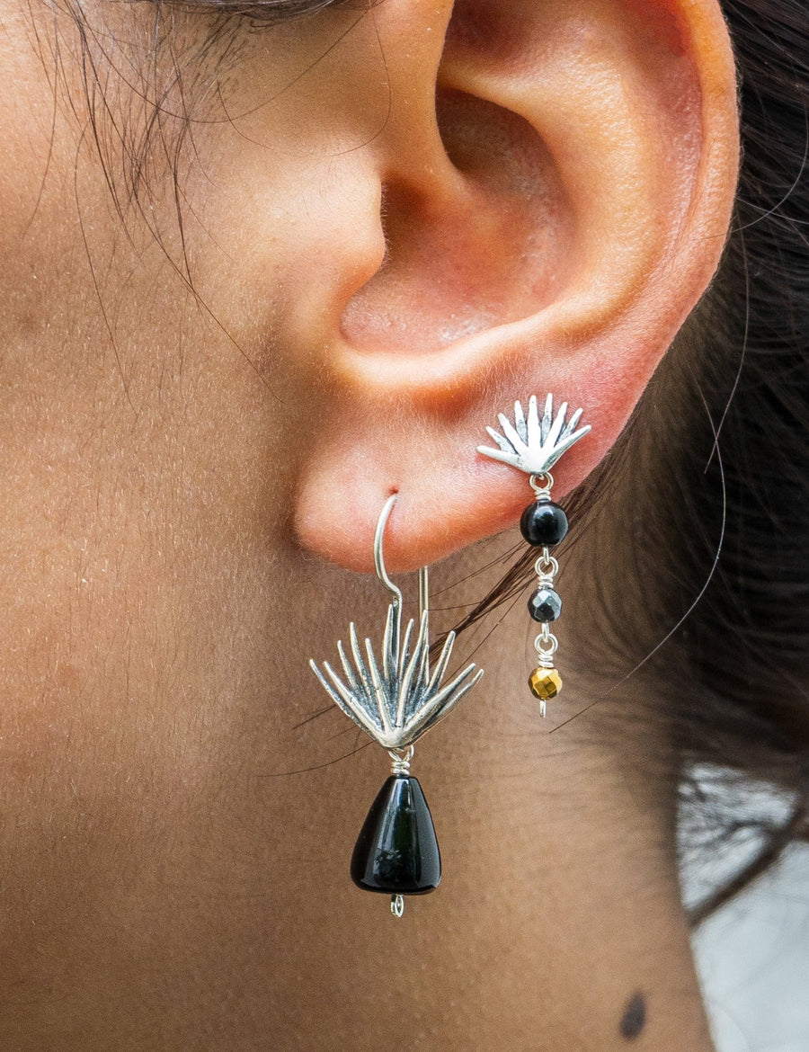 Aretes Provinciana