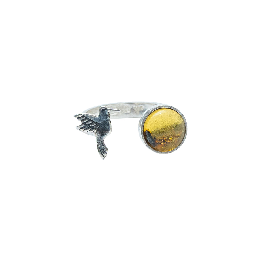 Anillo Pequeño Vuelo