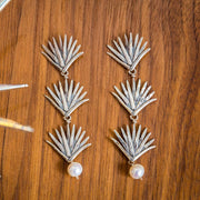 Agaves con Perla Gabriela Sánchez Aretes
