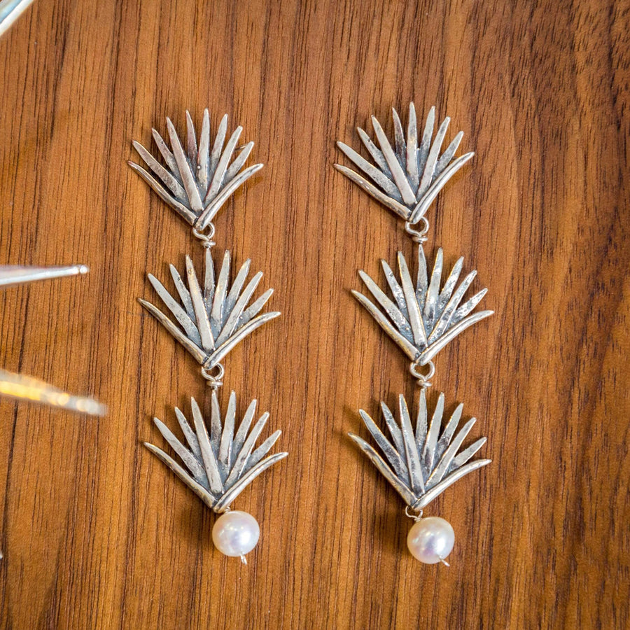 Agaves con Perla Gabriela Sánchez Aretes