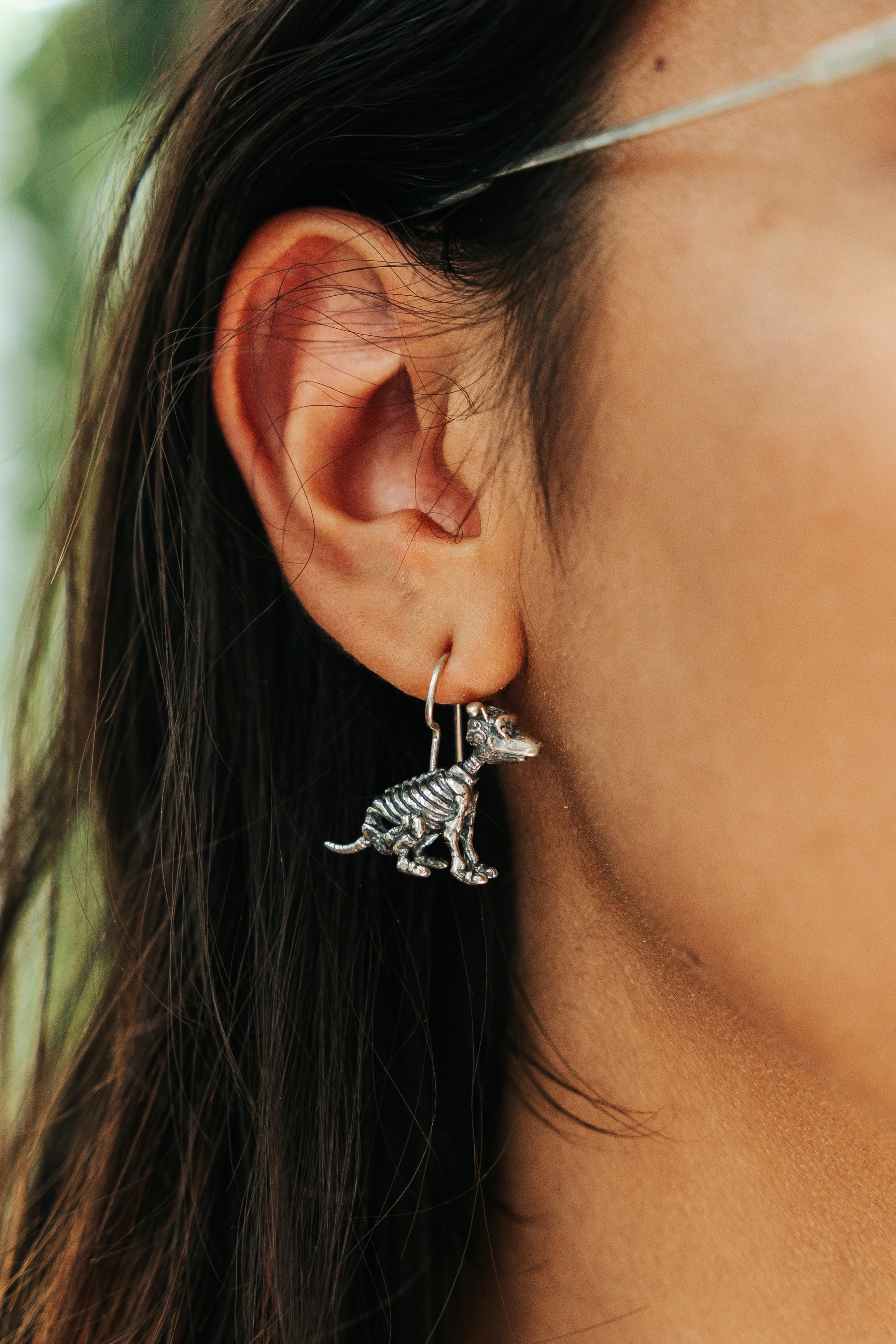 Aretes Xolo de Luz