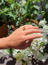 Anillo Óvalo De Ámbar Mini