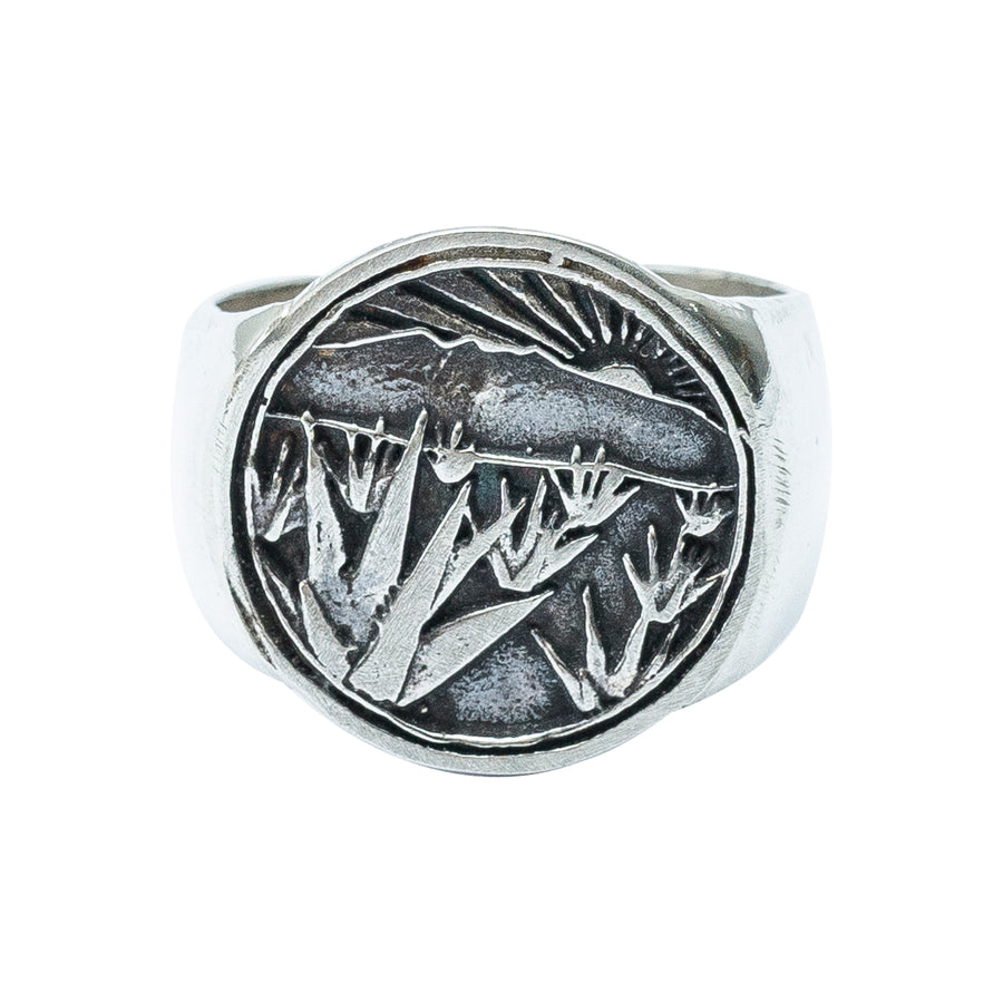 Anillo Campo de Agaves