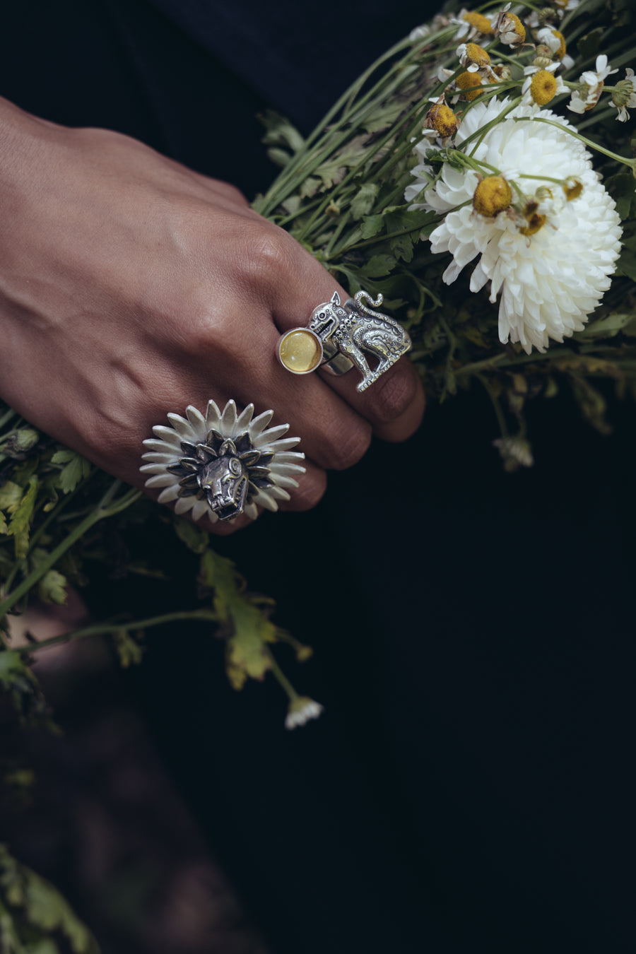Anillo Compañero del Sol