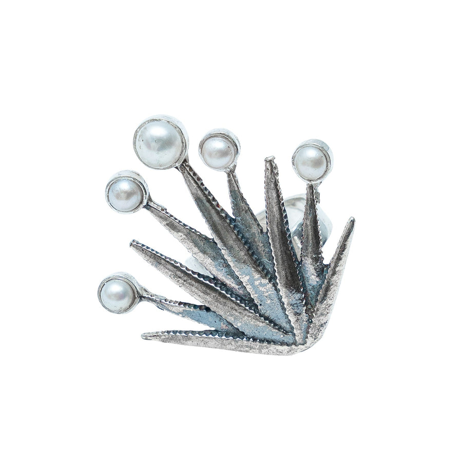 Anillo Raíces del Tiempo