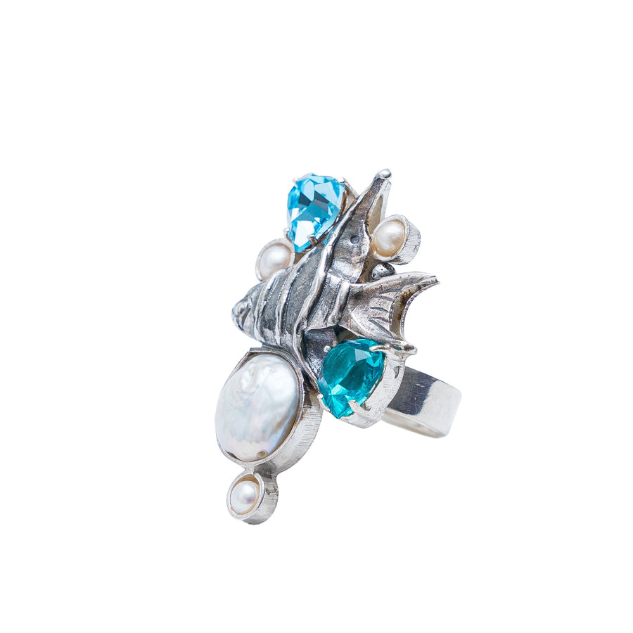Anillo Arrecife