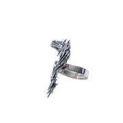 Anillo Guardián del Agua