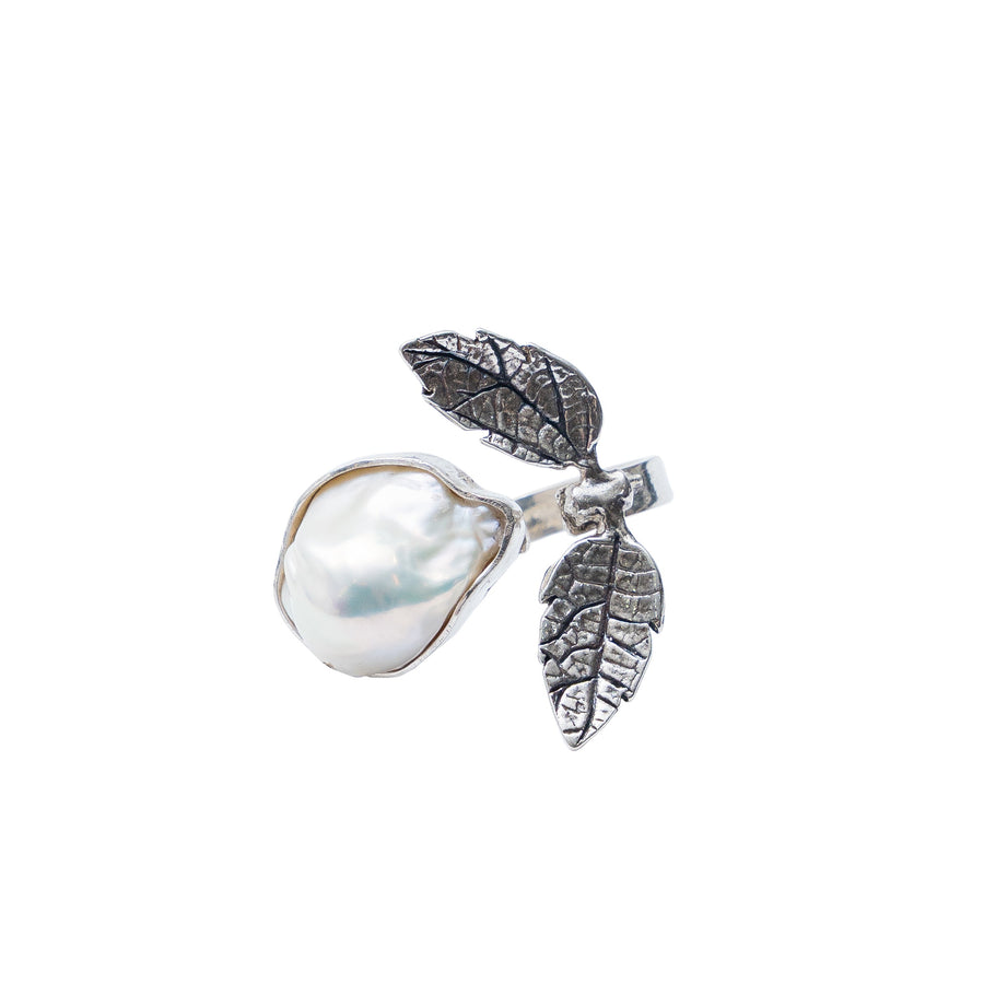 Anillo Frutos del Río