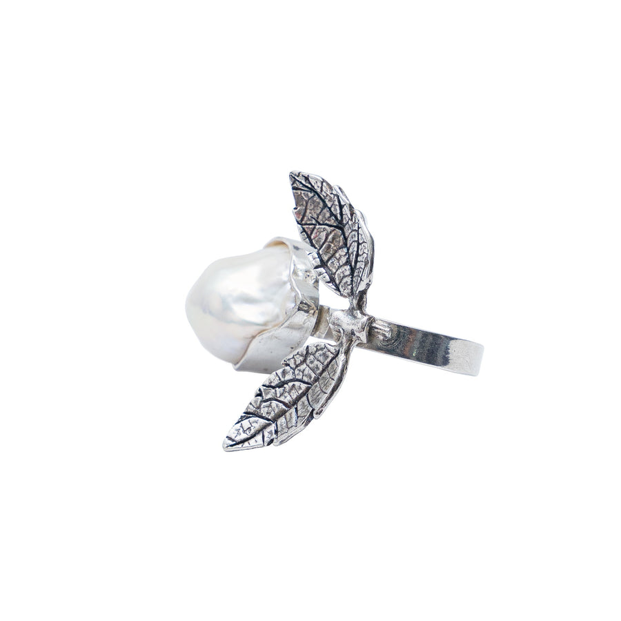 Anillo Frutos del Río