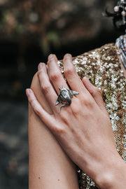 Anillo Mantarraya