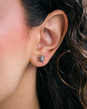 Aretes Tortuguitas Bebé