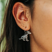 Aretes Xolo de Luz