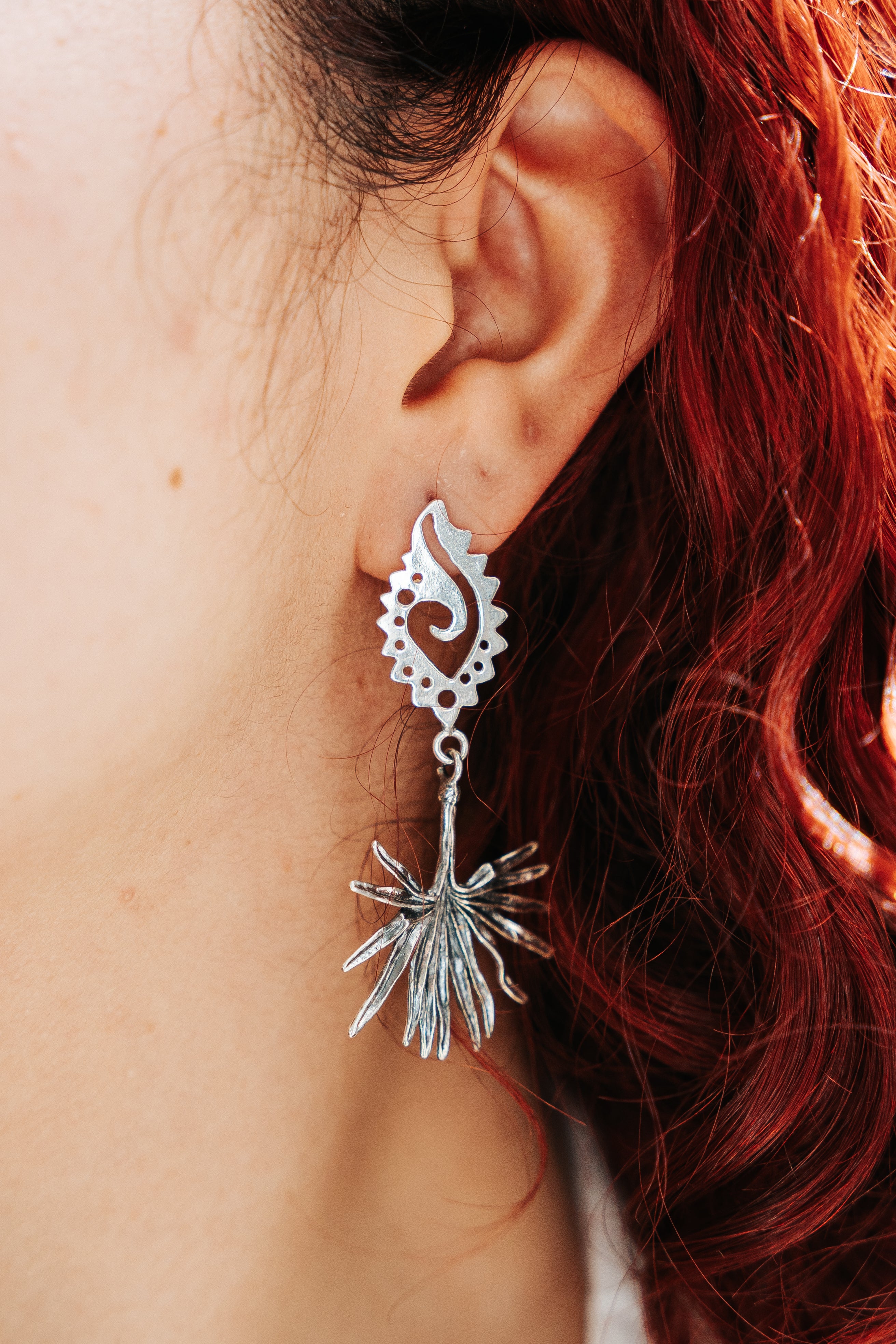 Aretes Raíces