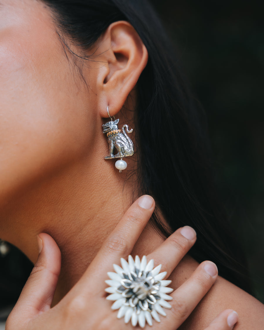 Aretes Guías Celestiales