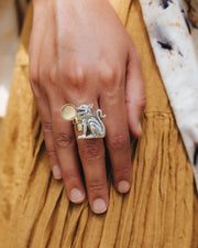 Anillo Compañero del Sol