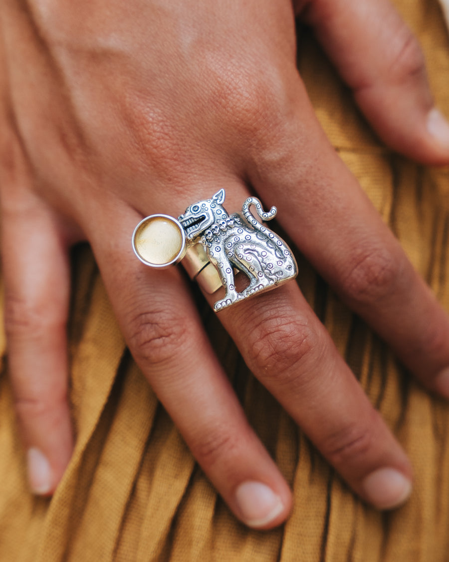 Anillo Compañero del Sol