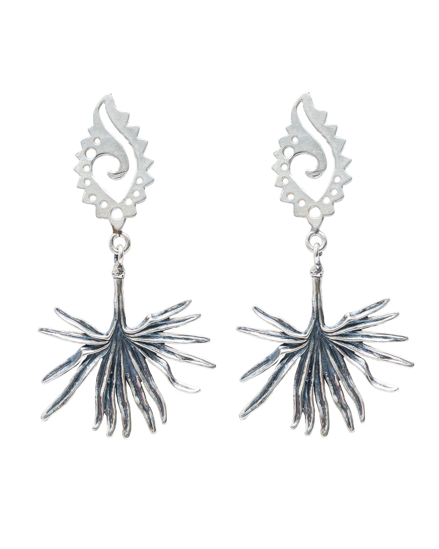 Aretes Raíces