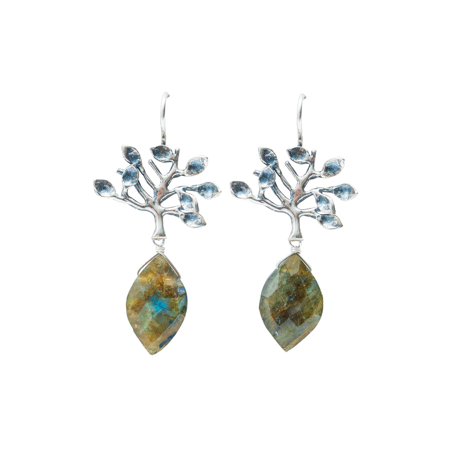 Aretes Semilla Lunar