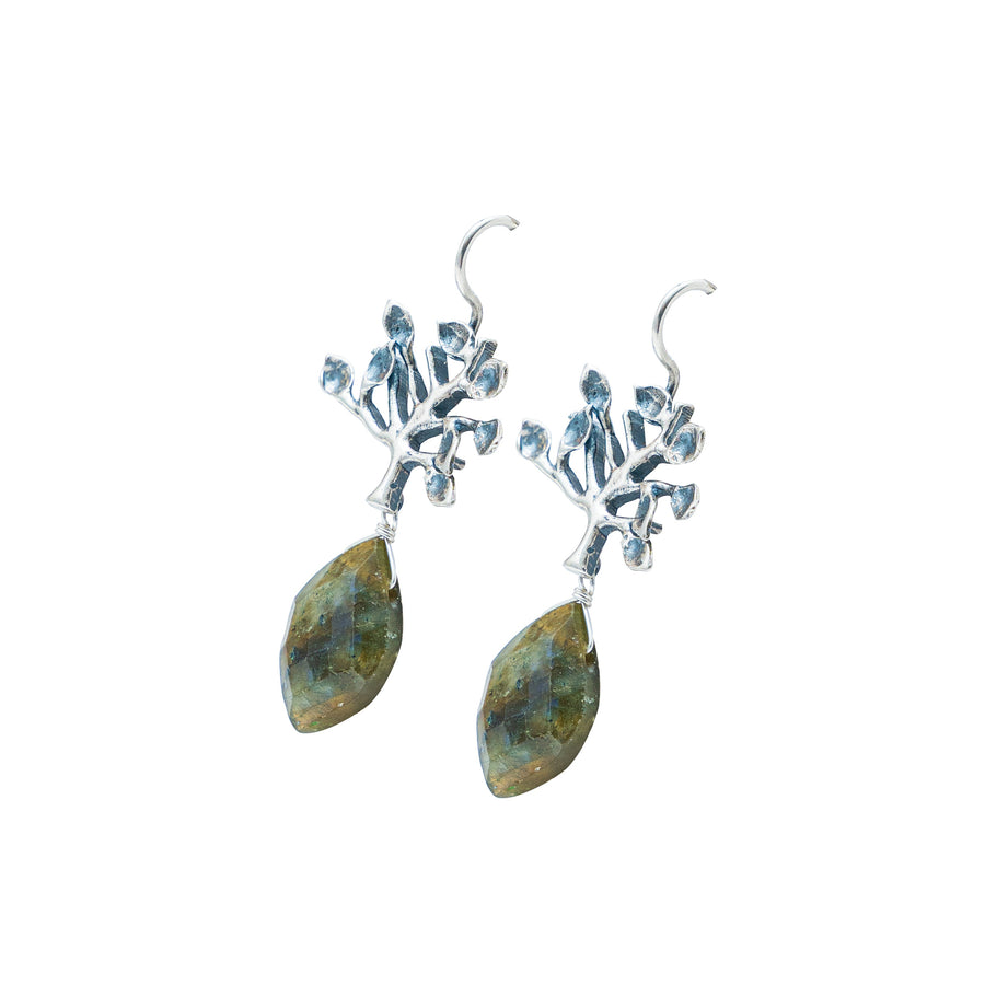 Aretes Semilla Lunar