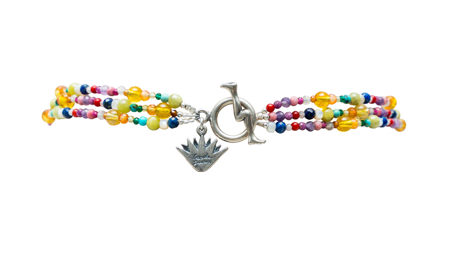 Choker Frutita Cristalizada