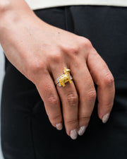 Anillo mi burrito sabanero