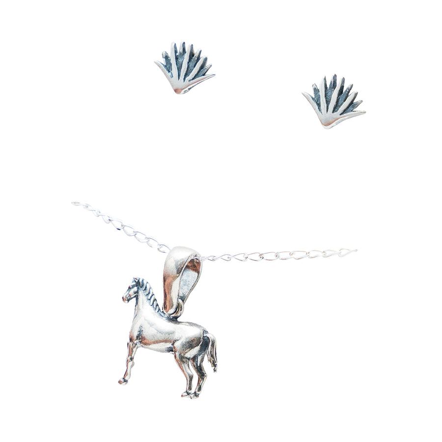 Set Caballito entre Agaves