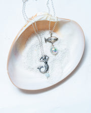 Set Canto Plateado