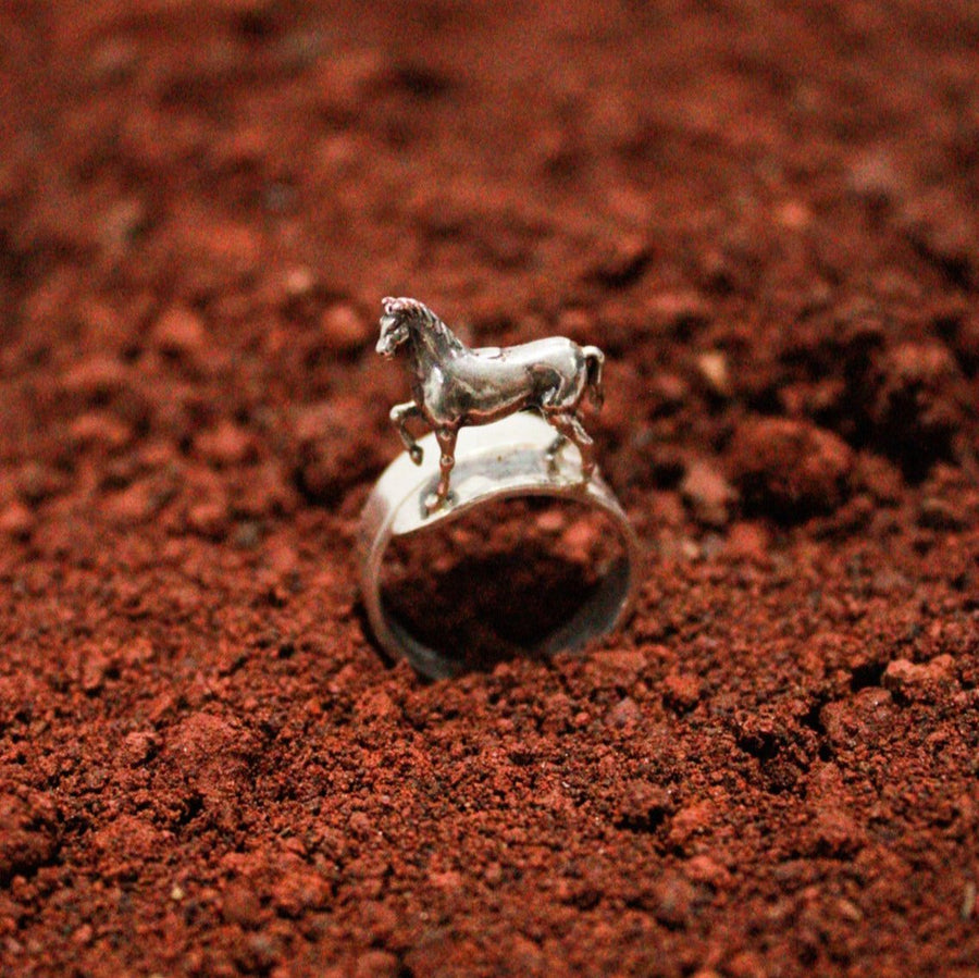 Anillo Caballo Bayo